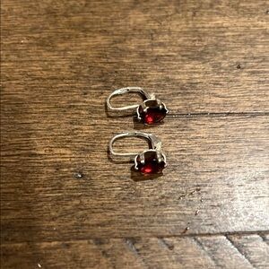 Sterling Silver and Garnet Leverback Earrings